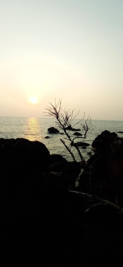 Bed and Breakfast Perch By The Sea à Kannur Extérieur photo